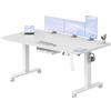 Airfish Scrivania Regolabile in Altezza 160×80cm, Scrivania Regolabile Elettricamente con Presa USB-C e Custodia Integrata per Cavi