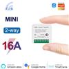 Szaoju Mini Interruttore WiFi 16A, Controllo Bidirezionale tramite App Smart Life, Modulo di Automazione Domestica Compatibile con Alexa e Google Home