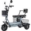 Daibot Potente triciclo elettrico per genitori, bambini e adulti, a 3 ruote per anziani, 2 posti, batteria da 800W rimovibile, scooter elettrico a lunga autonomia 60KM