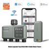 NONE Timer Irrigazione Intelligente WiFi RF433 per Giardino, 4 Uscite, con Ritardo Pioggia e Filtro, Programmabile, Automatico, Compatibile con Tuya