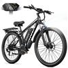 NONE Bicicletta Elettrica RINCC RN50 per Adulti, 29 Pollici, Telaio in Alluminio, Velocità Massima 50km/h, Display a Colori, per Fuoristrada e Salite