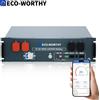 ECO－WORTHY ECO-WORTHY LiFePO4 48V 50Ah Bluetooth con BMS da 100A, Batteria al Litio da 2.56KWh 48V per Armadio Server, Batteria Solare per Sistema Solare Completo, Sistema Fotovoltaico