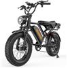 Headeer Bicicletta Elettrica HEADEER BK20 con Pneumatici Fat da 20 Pollici, Motore da 750W, Batteria 48V 20Ah, Freni a Disco Doppi, Display LCD, Velocità Massima 50KM/h