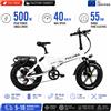 PULUMA EB FM-20 Bici Elettrica Originale Direttamente dalla Fabbrica - Motore da 48V 500W, Batteria da 48V 15Ah, Autonomia Elettrica Pura di 45-55km, Pneumatici Antiforatura da 20"x4.0, Shimano 7