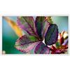 Generic Digital Photo Frame 1080P IPS HD Display Wall Mounted Pubblicità macchina facile da installare, perfetto per la casa o l'esposizione aziendale