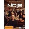 NCIS Season 19 (DVD)