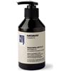 RICA NATURA'RT PIGMENTS MASCHERA MIRTILLO ANTIGIALLO 250 ML