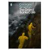Georges Simenon The Grand Banks Café (Tascabile) Inspector Maigret
