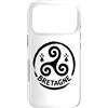 Brittany Celtic Culture Custodia per iPhone 17 Pro Simbolo del patrimonio celtico Triskel