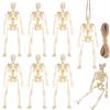 DIELIANHUA 8Pcs Scheletro Halloween,Mini Scheletro Giocattolo,Halloween Decorazioni Scheletro,5 Metri di Corda di Canapa, Adatta per Feste di Halloween E Oggetti di Scena per Case Stregate