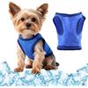 BSITSSS Gilet Refrigerante per Cani, Blu Giacca di Raffreddamento, Giubbotto Maglietta Refrigerante Cane con Velcro per L'estate Cani di Taglia Piccola Gatti, S