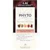 Phyto - 6.66 Colorazione permanente a base di pigmenti vegetali