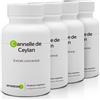 Anastore CANNELLA DI CEYLON | PACK 3+1 GRATIS | 250 mg / 360 capsule | Estratto concentrato 4:1