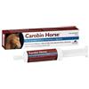 N.b.f. lanes - Carobin horse pasta appetibile siringa 100 g