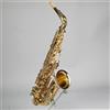 Yanagisawa Sassofono contralto YANAGISAWA A-WO1 Eb leggero in ottone con legatura a bocc...