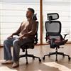 SIHOO Sedia da ufficio ergonomica B100 - Supporto lombare, sedia in rete con poggiatesta regolabile, seduta girevole per home office e gaming