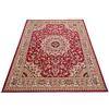 Carpeto Rugs Tappeto Salotto Floreale Orientale Pelo Corto - Tappeti Soggiorno Originali - Tappeti Camera da Letto - Tappeti Salotto Grandi Dimensioni - Rosso - 80 x 150 cm