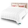 VOUNOT® Piumone Letto Matrimoniale 260x240 cm, Piumino Caldo 300 GSM per 4 Stagioni, Trapunta Autunnale e Invernale, 100% Microfibra, Bianco