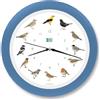 KOOKOO Singvögel Azzuro-Cielo, l'orologio degli uccelli canterini, orologio da parete rotondo con richiami naturali di uccelli, movimento al quarzo