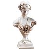 A.F.N.A.L Statua a busto dea classica decorazione da tavolo, idea regalo, mitologia greca e romana, decorazione per interni per casa e ufficio, replica in resina di Minerva, 22,1 cm di altezza, stile