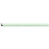 Osram Colourful T8 G13 L 18 W/66 Lampada fluorescente