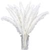 MHDAMAI Erba di Pampa Bianco 30pcs Erba di Pampa Secca,Piccola Erba di Pampa Decorativa,Erba di Pampa Artificiale,Decorazione Boho per Matrimoni,Casa,Soggiorno Decorazione D'interni Domestica Giardino Festa
