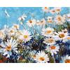 ARTNAPI Dipingere con i numeri, adulti con cornice, dipinta a mano, fiori, margherite, kit per principianti e adulti, set con colori acrilici e pennelli, tela da 40 x 50 cm, ideale come regalo