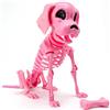 JOYIN Scheletro di cane di Halloween, articolazione articolata per interni ed esterni, decorazione per cimitero, casa infestata (24,9 x 11,9 x 32 cm)