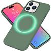 NALIA Custodia Silicone Magnetica per iPhone 15 Pro - Compatibile MagSafe & Liquid Silicone - SLIQ (Protezione Soft-Touch & Microfibra) - Marchio Tedesco, Colore:Verde
