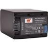DSTE NP-FH100 Batteria di ricambio compatibile per Sony DCR-DVD202E DCR-DVD203 DCR-DVD203E DCR-DVD205 DCR-DVD306 DCR-DVD306E DCR-DVD308 DCR-DVD403 DCR-DVD405