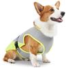 SDFWGG Gilet Rinfrescante per Cani Giacca Leggera Traspirante Estate Giubbotto di Raffreddamento Cani Maglia Refrigerante Cane Gilet Estivo per Animali Domestici (Grigio Chiaro, s)