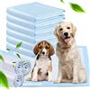 HyAdierTech HyAiderTech Tappetini Igienici per Cani, Telini Assorbenti per Addestramento Cuccioli, Pannolini per Animali Domestici, Traverse Senza Perdite, Assorbente, 45 x 33 cm, 100 Pezzi (100 Pack)