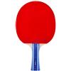 uoXHFdh Racchetta da ping pong professionale con borsa, piastra inferiore in legno a 7 strati/stelle manico corto, racchetta(Short handle)