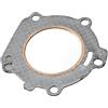 ZCDYGHU Guarnizione Testata 6L5-11181 6L5-11181-00 per Motore fuoribordo Yamaha 2 Tempi 3HP 6L511181 6L5-11181-A2 per Seapro