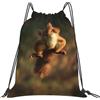 Generic Zaino con Coulisse Squirrel 06 Drawstring Backpack Pieghevole Sportiva Zainetto Leggero Sacchetta Sportiva per Spiaggia Viaggi Scuola