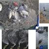 Alomejor Rete da Pesca Rete con Connettore a Molla in Plastica con Perline Luminose e Gabbia per Esche 7# 8# 10# 12# Dimensioni delle Maglie per gli Amanti della Pesca Nello Stagno del Lago Fluviale