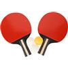 LIYJTK Set da racchetta da pong REGAIL, velocità e rotazione superiori per attività all'aperto, giochi con la palla (Bianca)