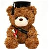 YNNHUDEEP Teddy Teclebrhan - Orsacchiotto di peluche, regalo di laurea, regalo di laurea, con cappello da dottore, regalo di laurea (marrone scuro)