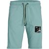 JACK & JONES JPSTFILO Sweat Shorts FB SN Pantaloncini della Tuta, Trifoglio, XL Uomo