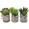 Flair Flower Piante grasse artificiali in vaso, set da 3 pezzi, 15 cm, agave aloe vera, cactus artificiale, pianta decorativa, pianta verde, pianta da interni, pianta da tavolo, pianta artificiale