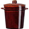 KADAX - Pentola in gres con manici laterali e coperchio, pentola in ceramica lavabile in lavastoviglie, pentola per fermentazione fatta a mano in ceramica, pentola per sottaceti per cetrioli (2L di