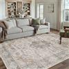 PureCozy Vintage Taupe Tappeto Salotto 200x300cm Antiscivolo Lavabile Tappeti Sala Soggiorno Cameretta Camera da Letto Ufficio Grande Carpet Pelo Corto Morbido Rug