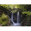 Rasch Carta da parati 364668 - Carta da parati fotografica su tessuto non tessuto con foresta e una piccola cascata verde e marrone della collezione Magicwalls - 2,65 m x 3,71 m (lunghezza x