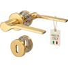 Gedotec ONDA - Set di maniglie per porte interne in metallo, rosetta BB in ottone, maniglia per porta della stanza, rosetta rotonda per porte di spessore da 35 a 47 mm