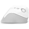 CONNECT IT FOR HEALTH Gloss Mouse verticale ergonomico, (+ 1x batteria AA gratuita), senza fili, BIANCO