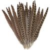 Lowats Piume di Fagiano 20 Pezzi Fagiano Piume Piume Decorative Lungo Fagiano Penne della Coda Decorative Piume Piume Marroni Naturale Piume Morbide 25-30 cm per Artigianato Fai da Te