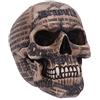 Nemesis Now B4478N9 Draculas Tale 18,5 cm, Tortora, Taglia unica