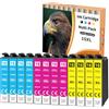 Starlet24 12 cartucce 16XL ciano magenta giallo per Epson T1632 T1633 T1634 XL per Epson WF2630 WF-2540 WF-2750 WF-2760 WF-2660 WF-2650 WF-2530 WF-2010 WF-2510
