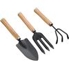 Wagoodter - Set di 3 mini attrezzi da giardinaggio per giardinaggio piccoli e leggeri rastrelli in ferro per interni ed esterni (B)