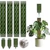 WDKXCN Asta per muschio Monstera, 4 pezzi per traliccio Monstera con supporto per piante e 4 pali di messa a terra, asta per muschio per supporto delle piante